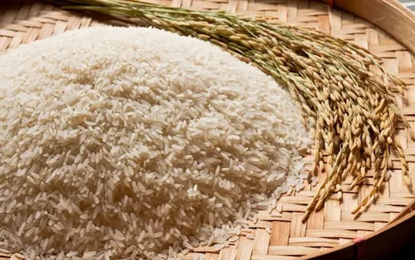 تصویر 4 از خرید و قیمت برنج قهوه‌ای محلی + فروش عمده